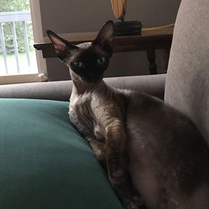 Meet your Posher, Rochelle